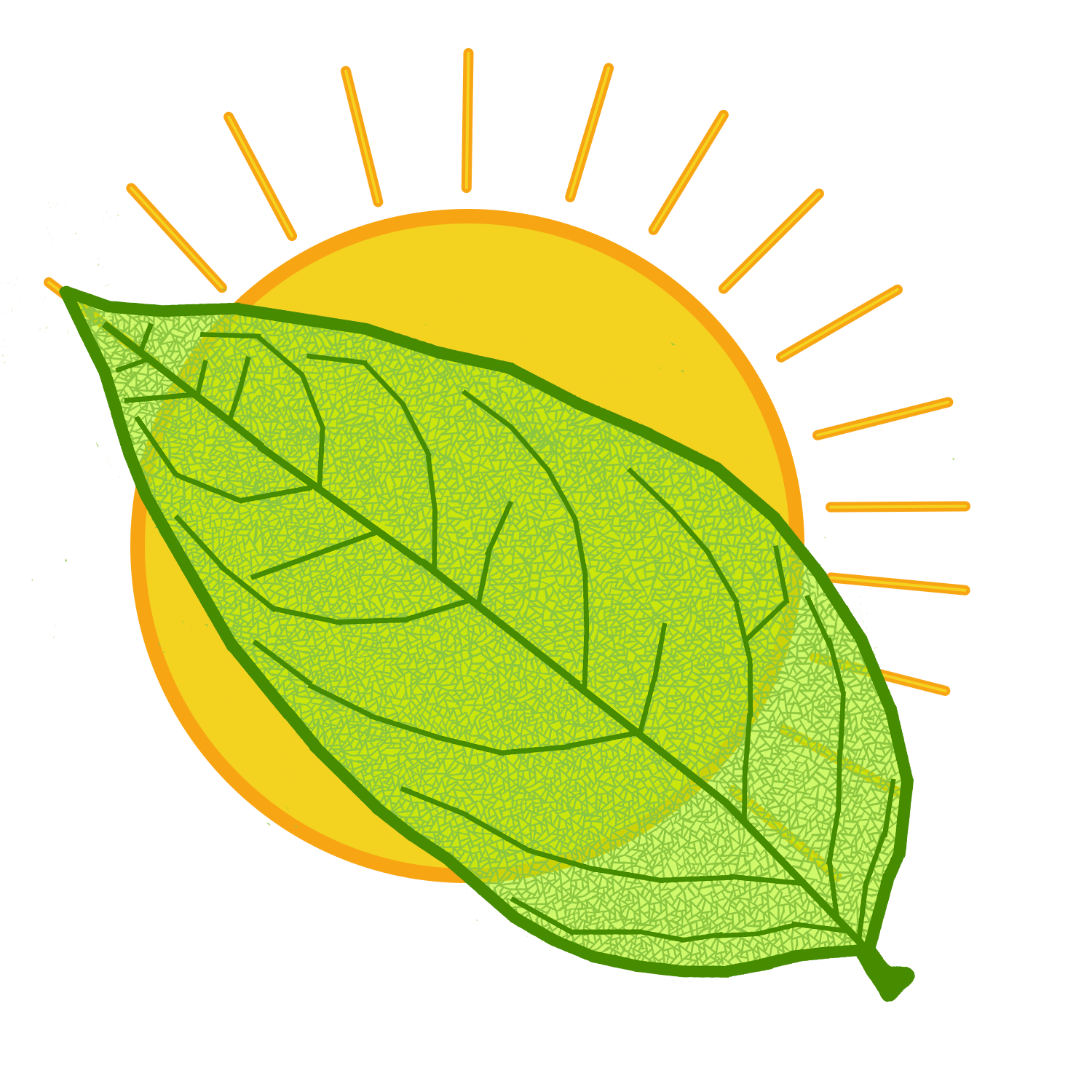 A logo with a digitally drawn leaf superimposed over a cartoon sun.